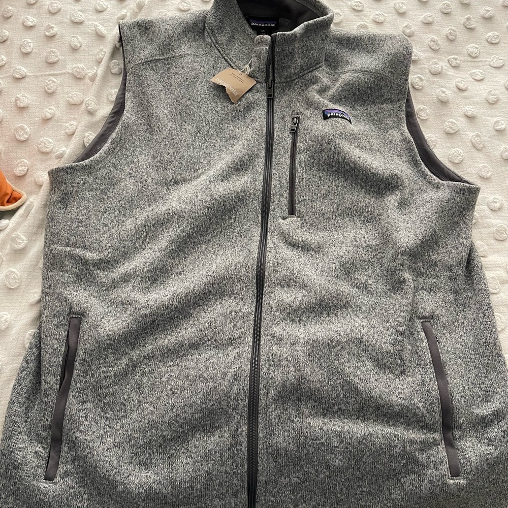 Patagonia Gray Men's Fleece Vest